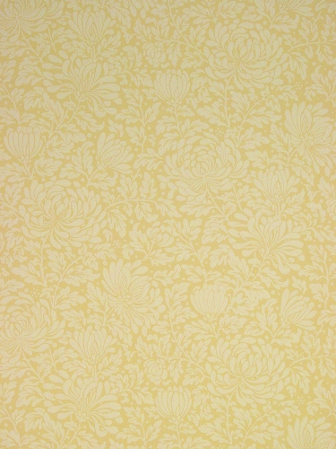 Chrysanthemum Wallpaper - Butter Yellow